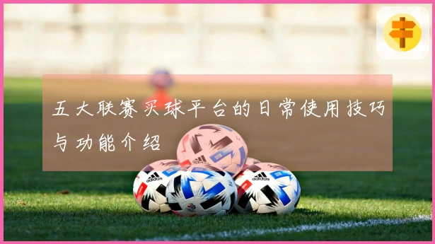 五大联赛买球平台的日常使用技巧与功能介绍