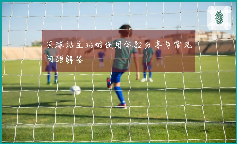 买球站主站的使用体验分享与常见问题解答