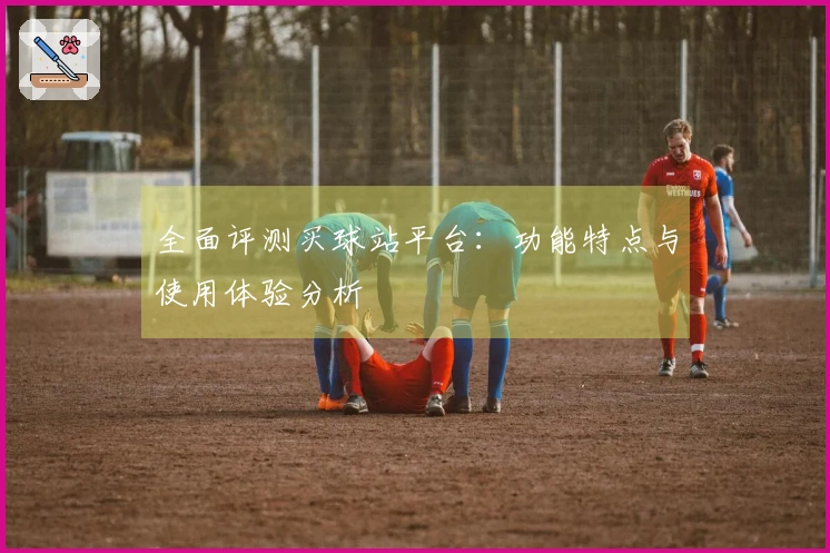 全面评测买球站平台：功能特点与使用体验分析
