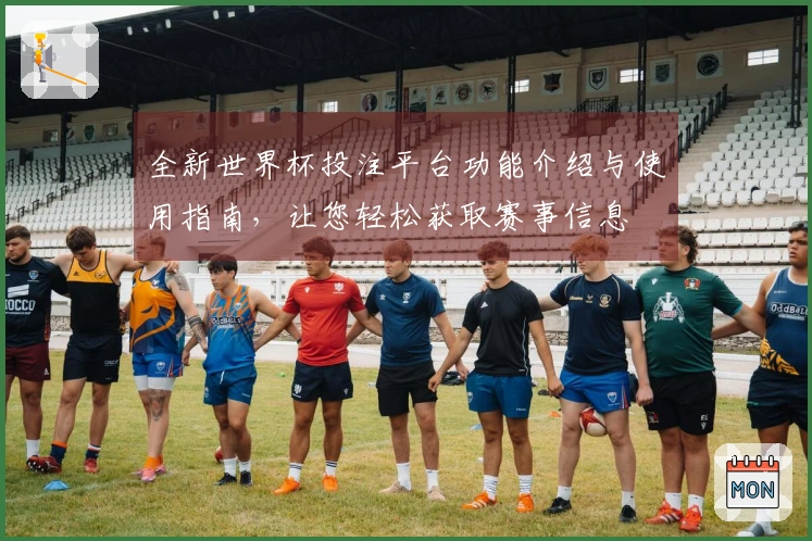 全新世界杯投注平台功能介绍与使用指南，让您轻松获取赛事信息