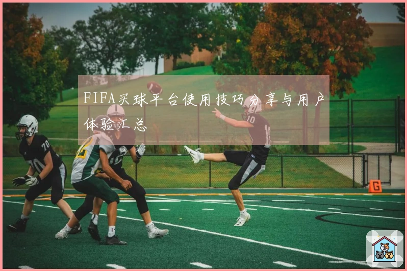 FIFA买球平台使用技巧分享与用户体验汇总