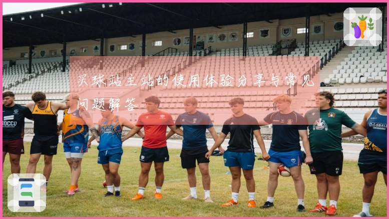 买球站主站的使用体验分享与常见问题解答