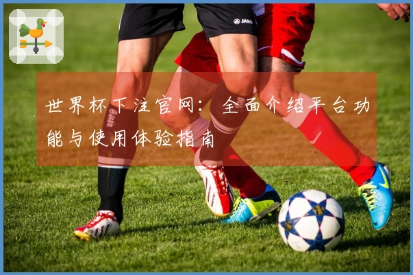 世界杯下注官网：全面介绍平台功能与使用体验指南